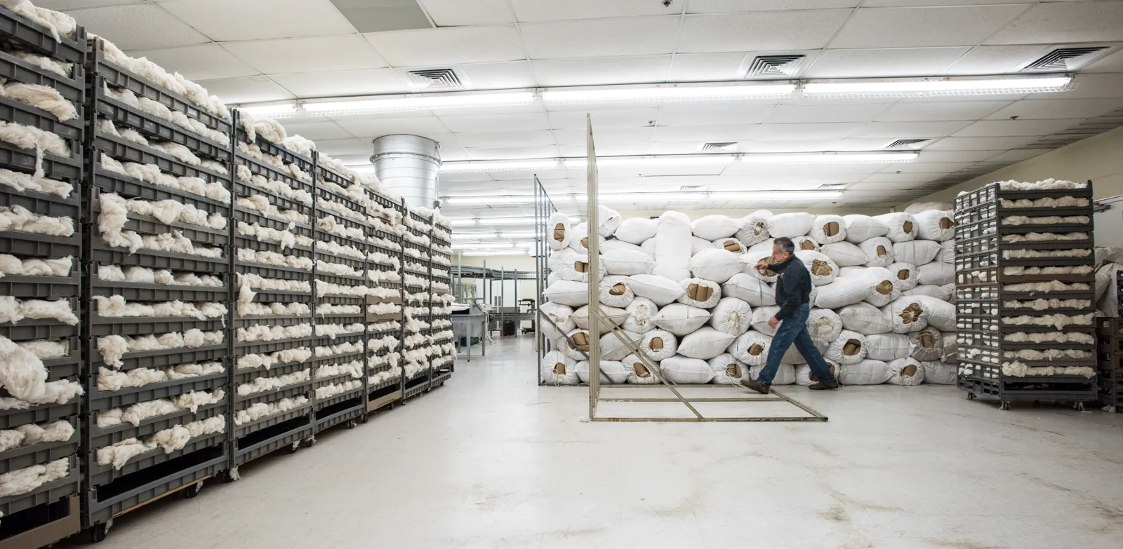 Cotton samples and bagged material in a Texas sample room photographed by USDA in 2017